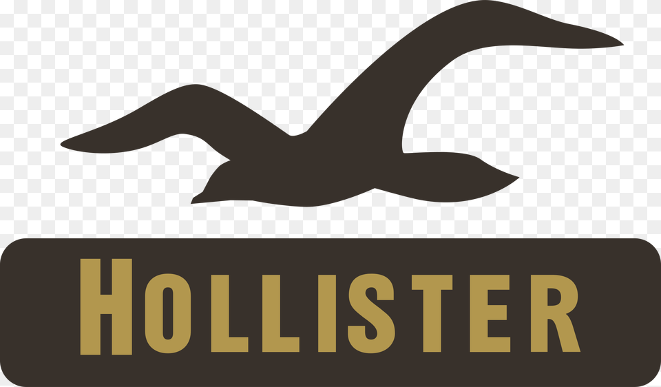 Hollister Co Logo Transparent Hollister Logo, Animal, Bird, Goose, Waterfowl Free Png