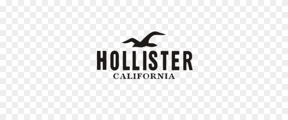 Hollister Logo, Animal, Bird, Flying, Cormorant Png Image