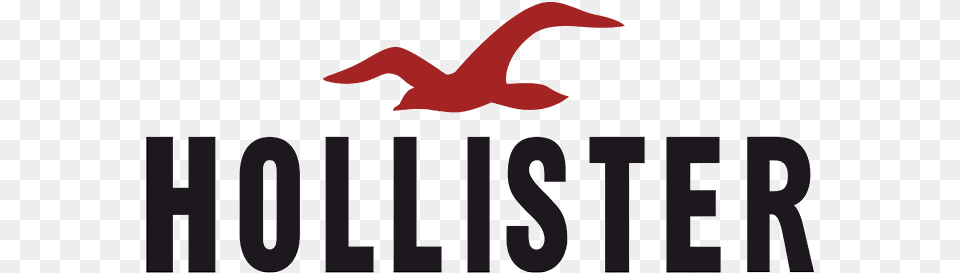 Hollister Logo Hollister, Animal, Bird, Text, Symbol Png