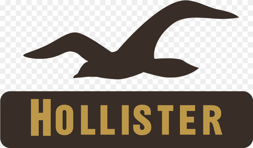 Hollister Logo Hollister Logo, Animal, Bird, Goose, Waterfowl Free Transparent Png