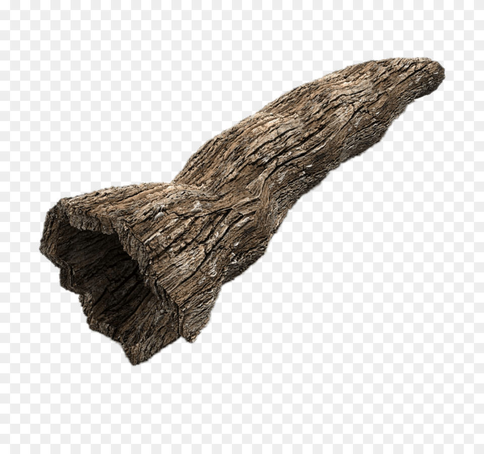 Hollow Tree Trunk, Driftwood, Wood Png