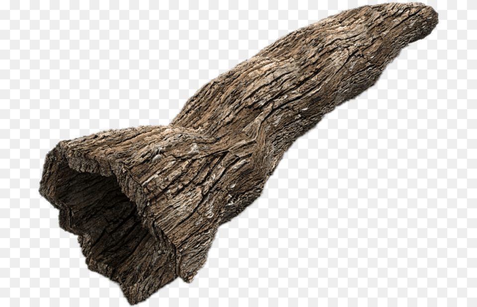 Hollow Tree Trunk Tree Trunks, Driftwood, Wood, Plant Free Png Download