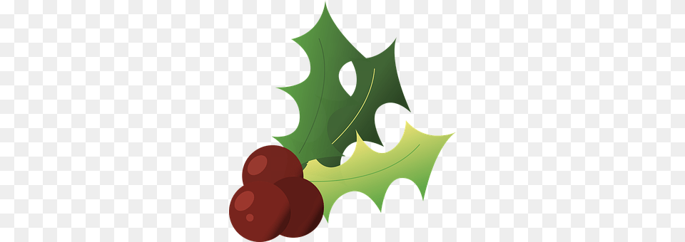 Holly Leaf, Plant, Food, Fruit Png