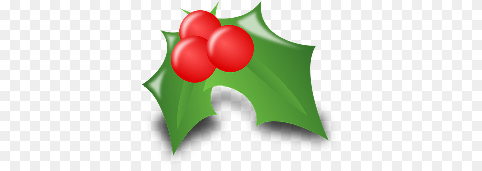 Holly Leaf, Plant, Food, Fruit Png