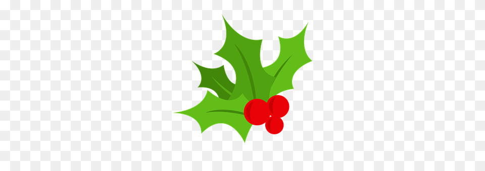 Holly Leaf, Plant, Food, Fruit Png