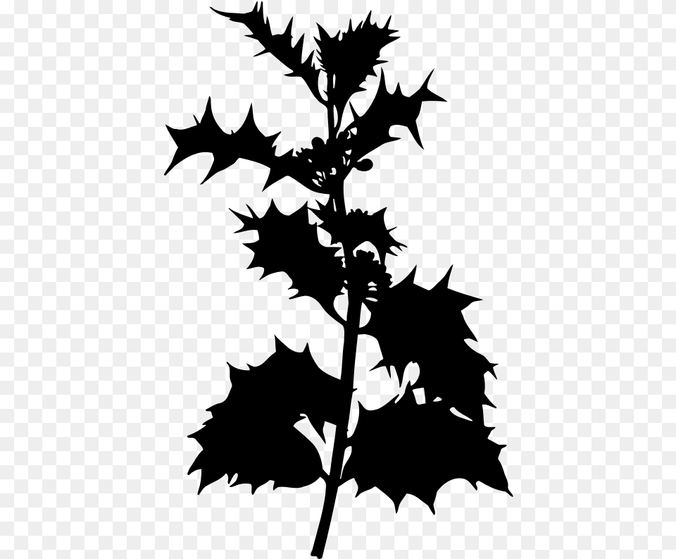 Holly 2 Holly Plant Clipart, Gray Free Png Download