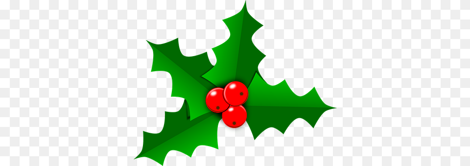 Holly Leaf, Plant, Person, Food Free Transparent Png