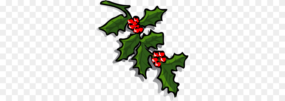 Holly Leaf, Plant, Food, Fruit Free Transparent Png