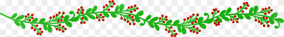 Holly, Conifer, Green, Pattern, Plant Free Png