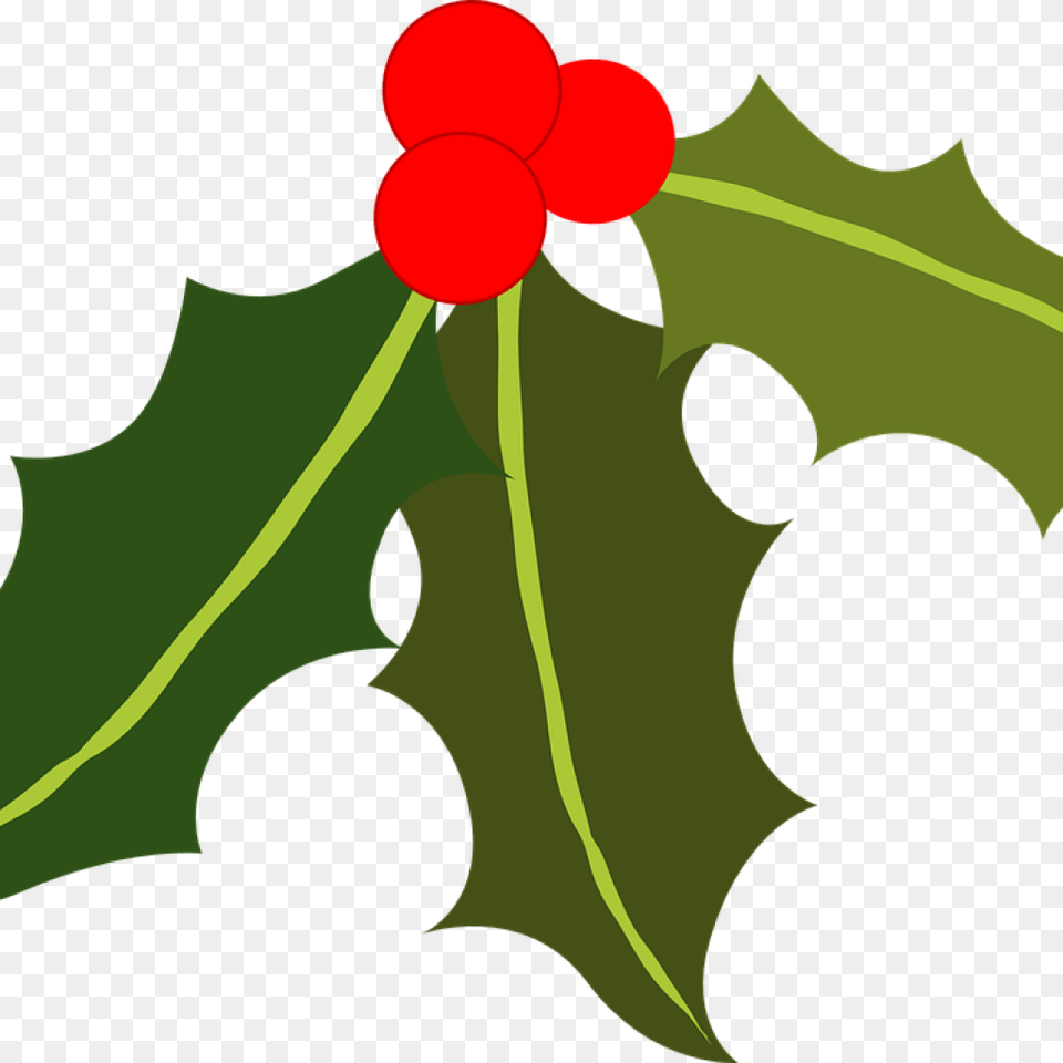 Holly And Berries Clip Art Clipart Download, Leaf, Plant, Food, Fruit Free Png