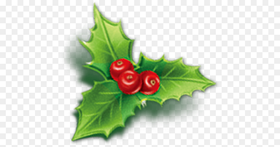 Holly Aquifoliales Christmas Mistletoe Icon Cherry Mistletoe Icon, Leaf, Plant, Food, Fruit Png