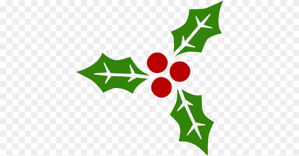 Holly Berries, Leaf, Plant, Person, Food Free Png