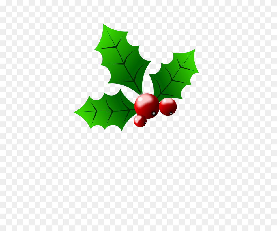 Holly Berries, Leaf, Plant, Food, Fruit Png