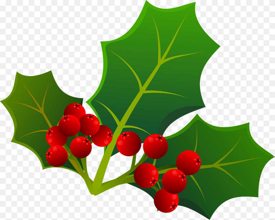 Holly Berries And Leaves Clipart, Food, Fruit, Leaf, Plant Free Transparent Png