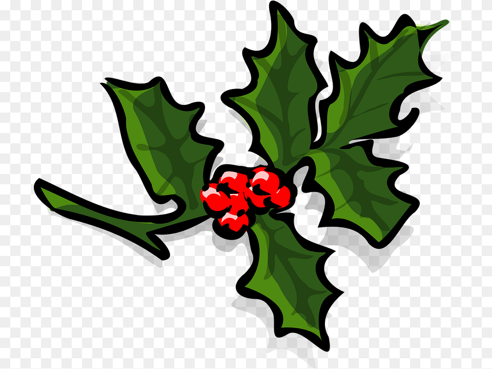 Holly Berries Christmas Vector Graphic On Pixabay Holly Clip Art, Leaf, Plant, Flower, Tree Free Png Download