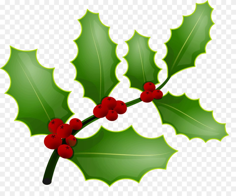 Holly Berries Clipart, Leaf, Plant, Food, Fruit Png