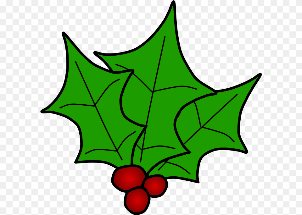 Holly Berries Leaves Together Green, Leaf, Plant, Food, Fruit Png Image