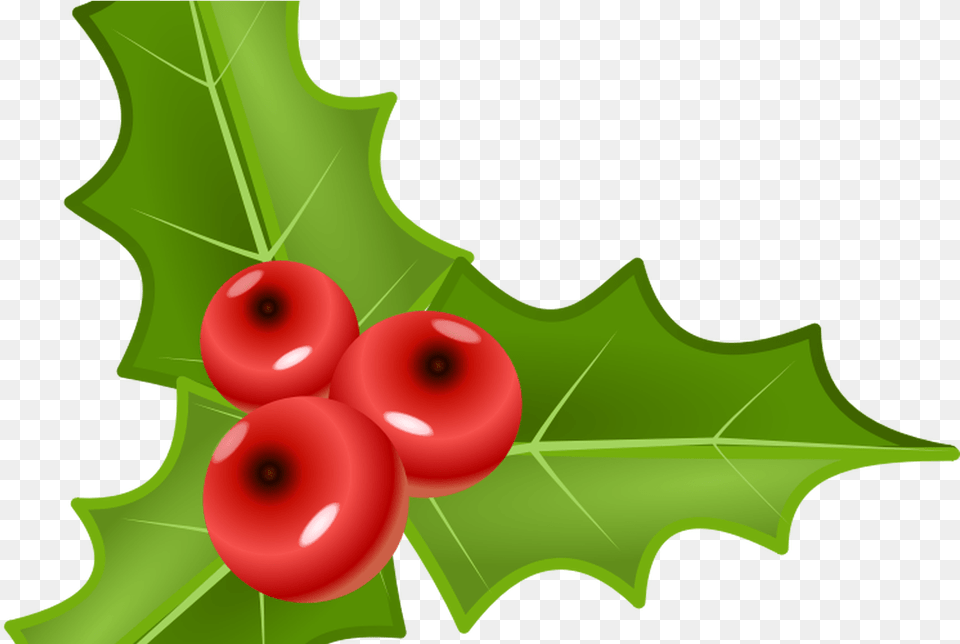 Holly Berry Clip Art Abeoncliparts Cliparts Amp Vectors Plant Holly Berry, Leaf, Food, Fruit, Produce Free Png Download