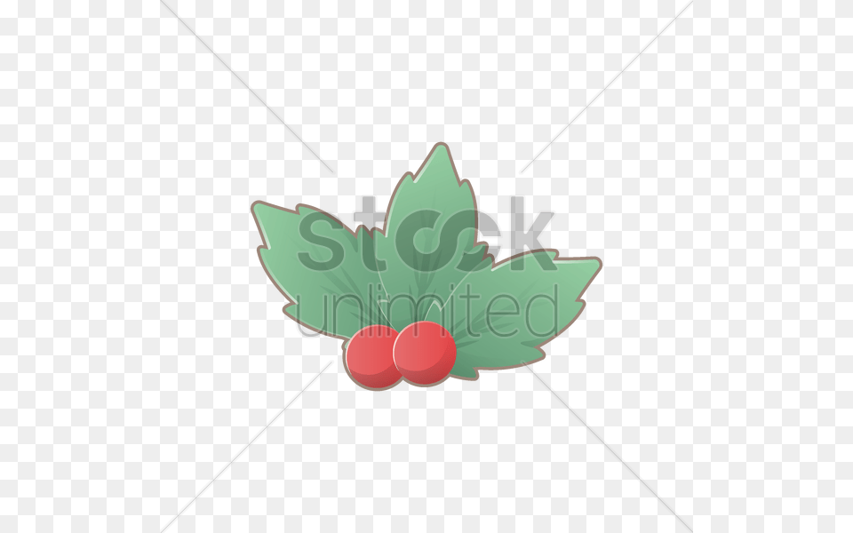 Holly Berry Vector Image, Leaf, Plant, Food, Fruit Free Png