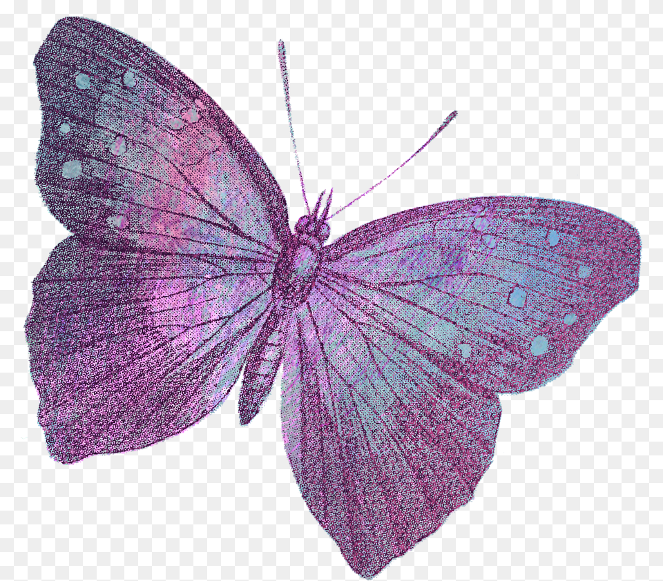 Holly Blue, Purple, Art Free Transparent Png