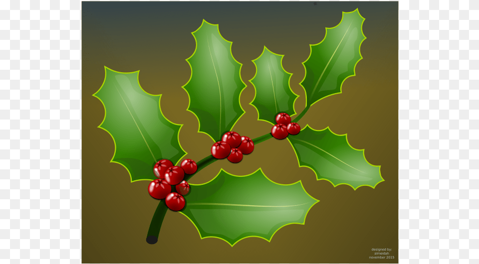 Holly Branch Christmas Day, Leaf, Plant, Produce, Food Png