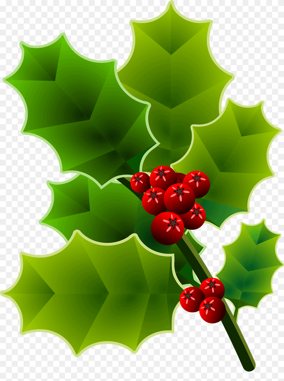 Holly Branch Clipart, Leaf, Plant, Food, Fruit Png
