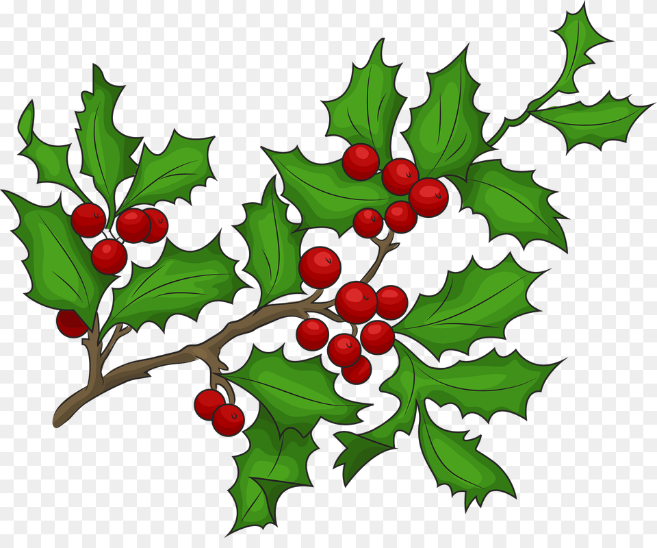 Holly Branch With Berries Clipart, Leaf, Plant, Food, Fruit Free Png