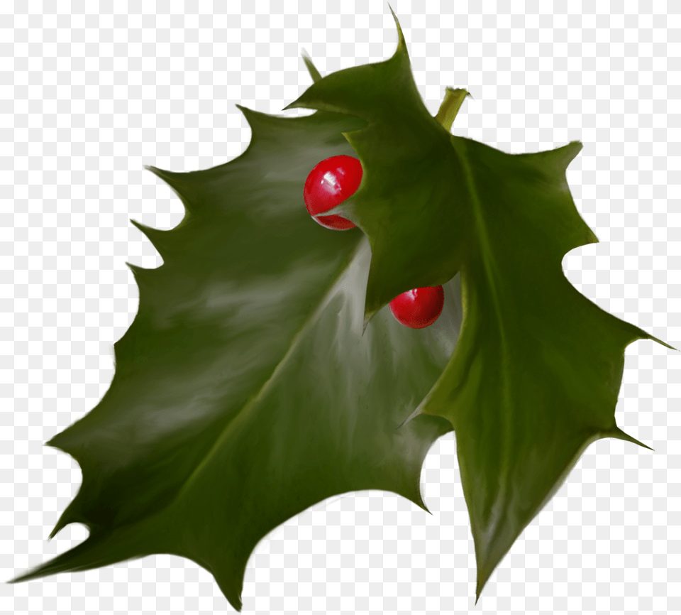 Holly Christmas Advent Wreath Holiday Hojas De La Corona De Adviento, Food, Fruit, Leaf, Plant Free Png Download