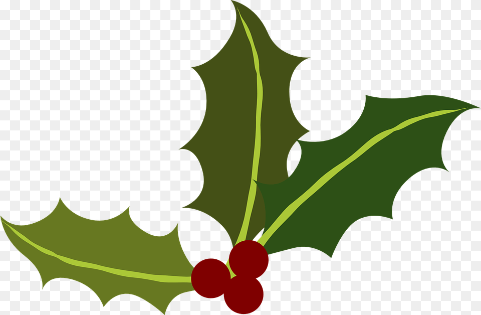 Holly Christmas Border Holly Leaves And Berries, Leaf, Plant, Food, Fruit Png