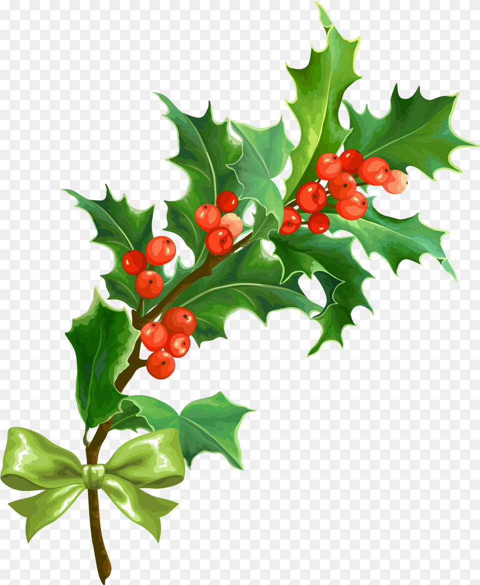 Holly Christmas Holly Background, Leaf, Plant, Tree, Flower Free Png