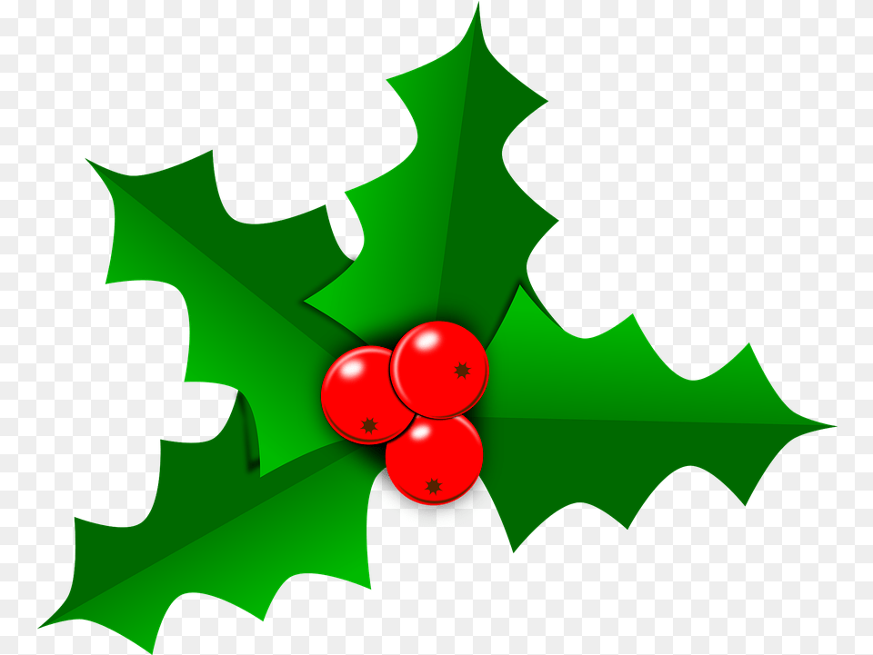 Holly Christmas Leaf Transparent Christmas Vector, Plant, Person Free Png