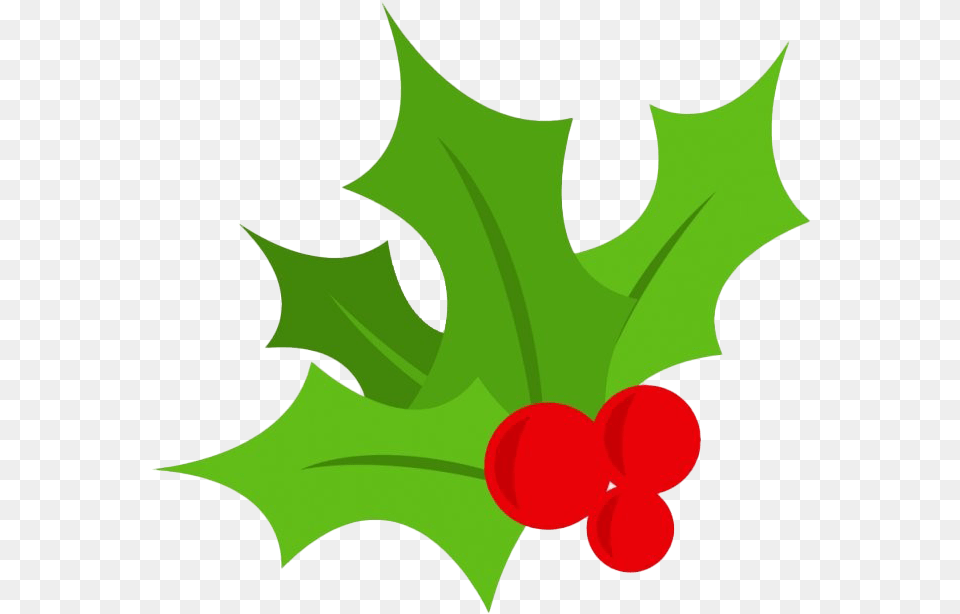 Holly Christmas Tree Berry Christmas Festivals Mistletoe Graphic, Leaf, Plant, Food, Fruit Png Image