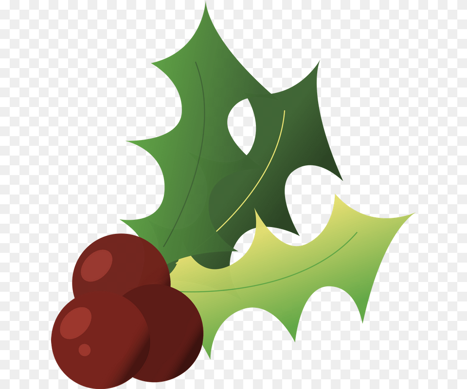 Holly Christmas Winter Christmas Holly Red, Leaf, Plant, Food, Fruit Free Png
