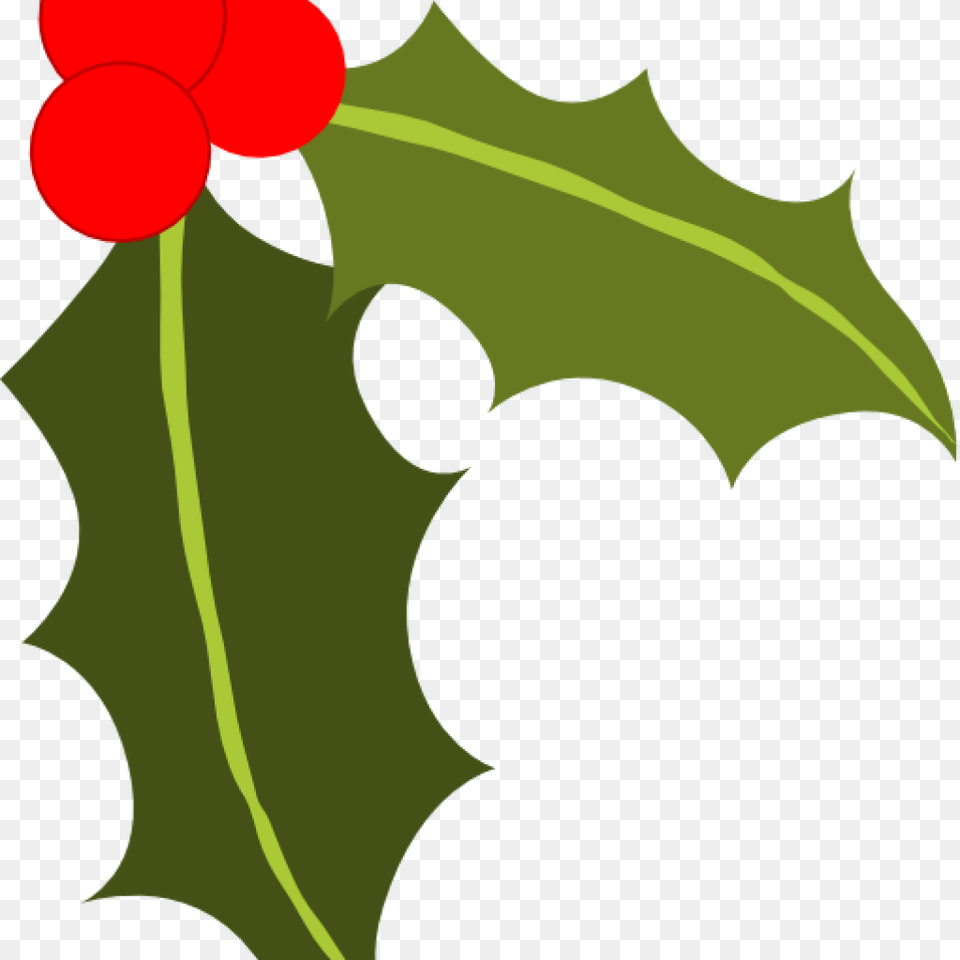 Holly Clip Art At Clker Vector Online Royalty Christmas Holly Clipart, Leaf, Plant, Flower, Person Free Png Download