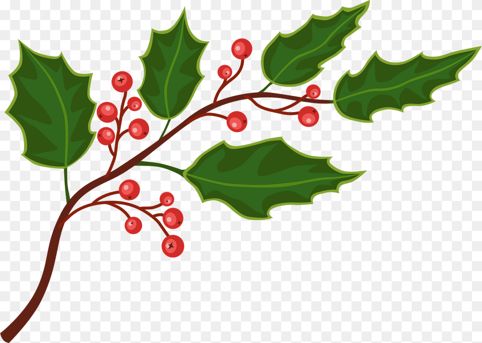 Holly Clipart, Leaf, Plant, Tree, Art Free Png