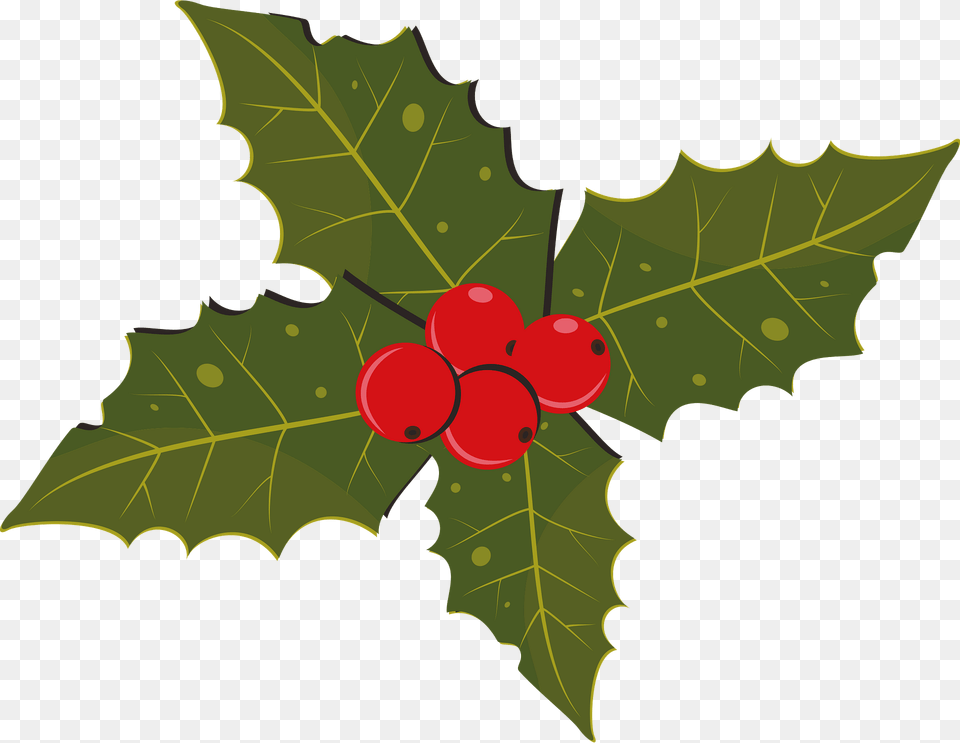 Holly Clipart, Leaf, Plant, Food, Fruit Png