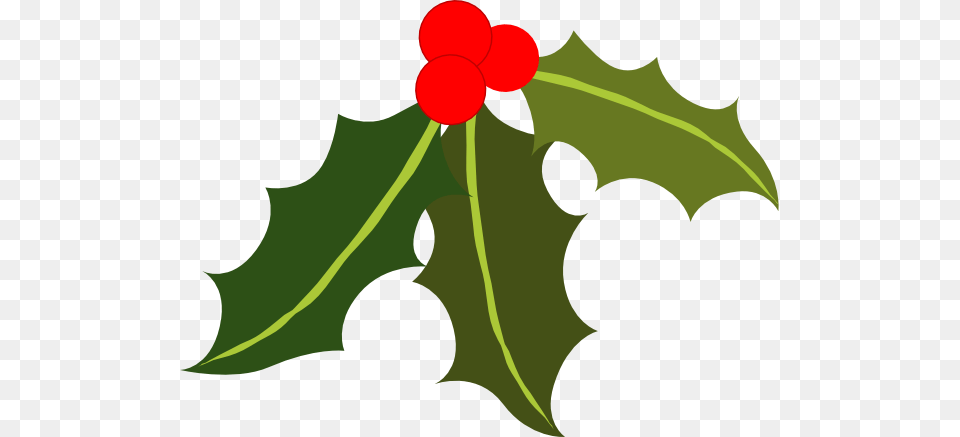 Holly Clipart, Leaf, Plant, Flower, Rose Png Image