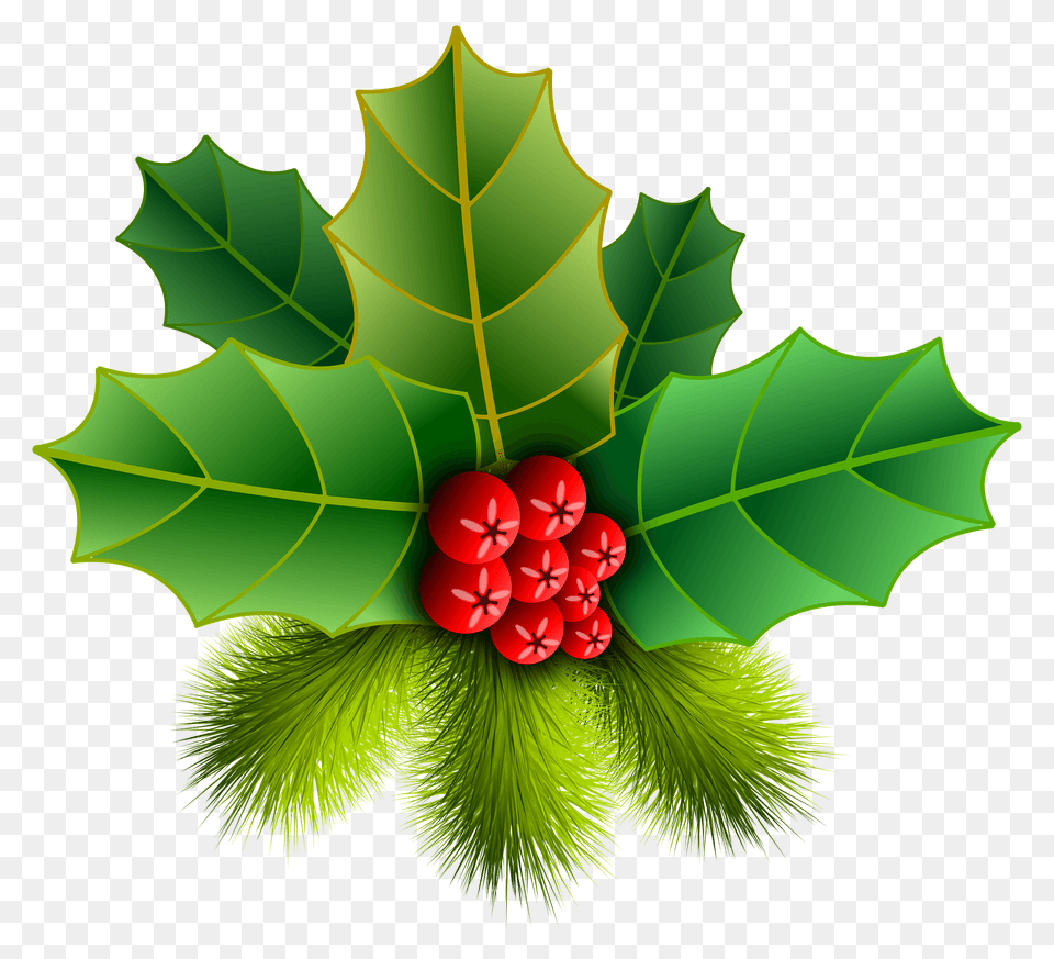 Holly Clipart, Leaf, Plant, Berry, Food Png