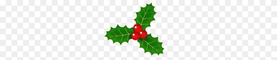 Holly Clipart Clipart, Leaf, Plant, Food, Fruit Free Png