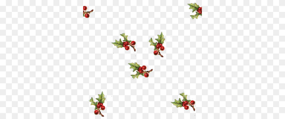 Holly Clipart Clipart, Art, Floral Design, Pattern, Graphics Png