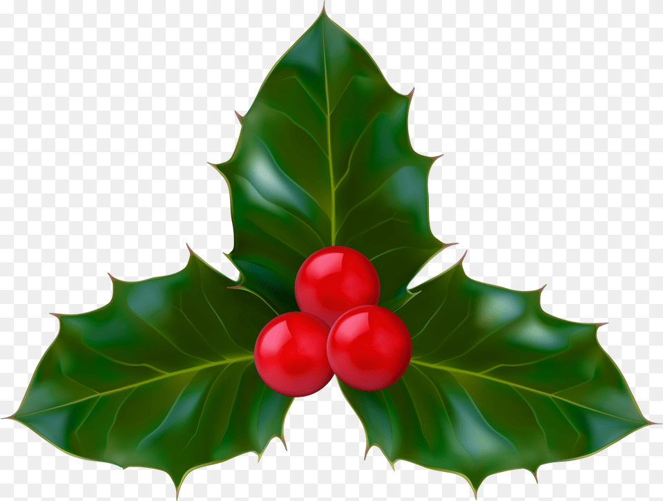 Holly Clipart Clipart Holly Free Transparent Png