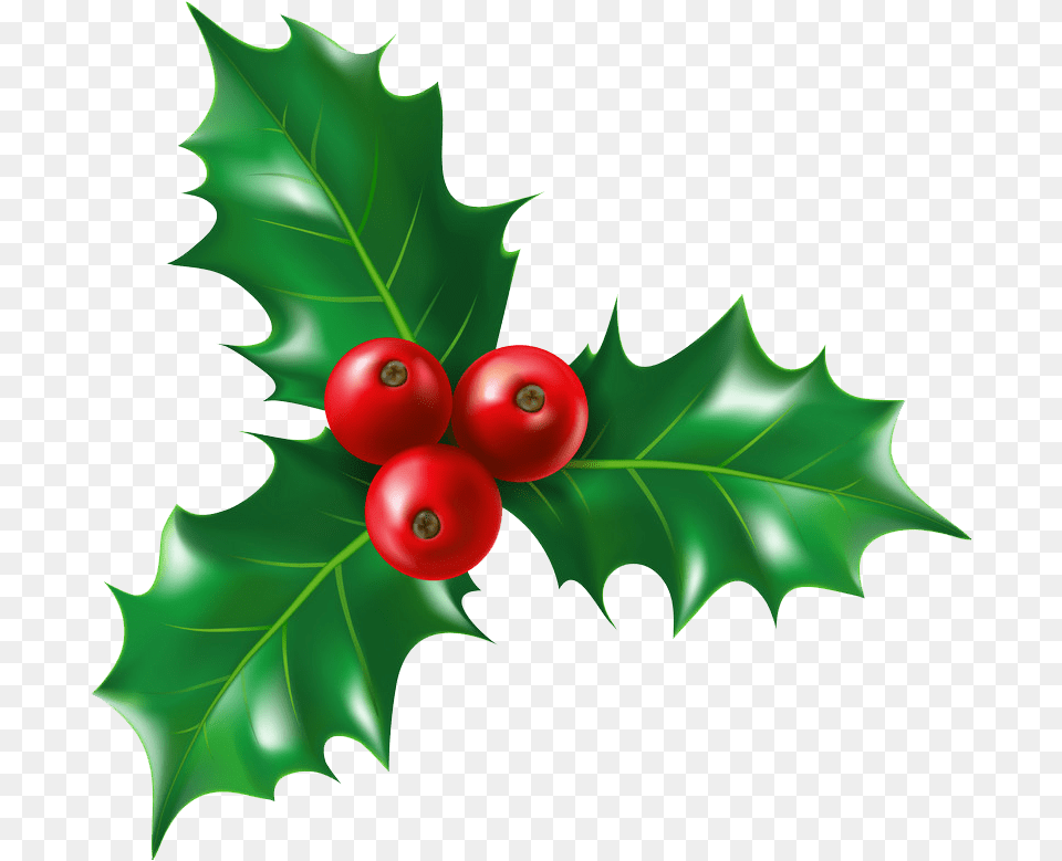 Holly Clipart Clipartworld Holly Christmas Berry Plant, Leaf, Food, Fruit, Produce Png Image