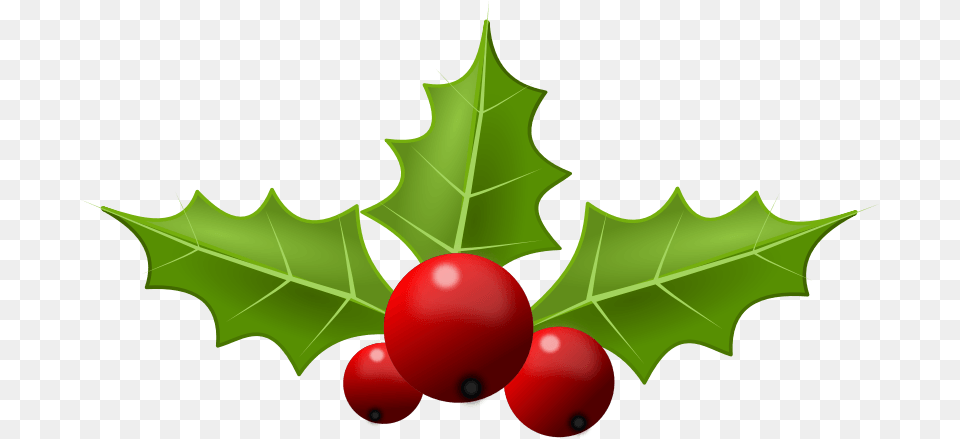 Holly Cliparts, Leaf, Plant, Food, Fruit Png Image