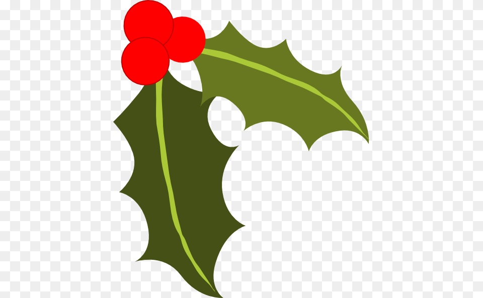 Holly Cliparts, Leaf, Plant, Flower, Food Png Image