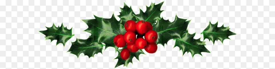 Holly Clipping Path, Leaf, Plant, Food, Fruit Free Png