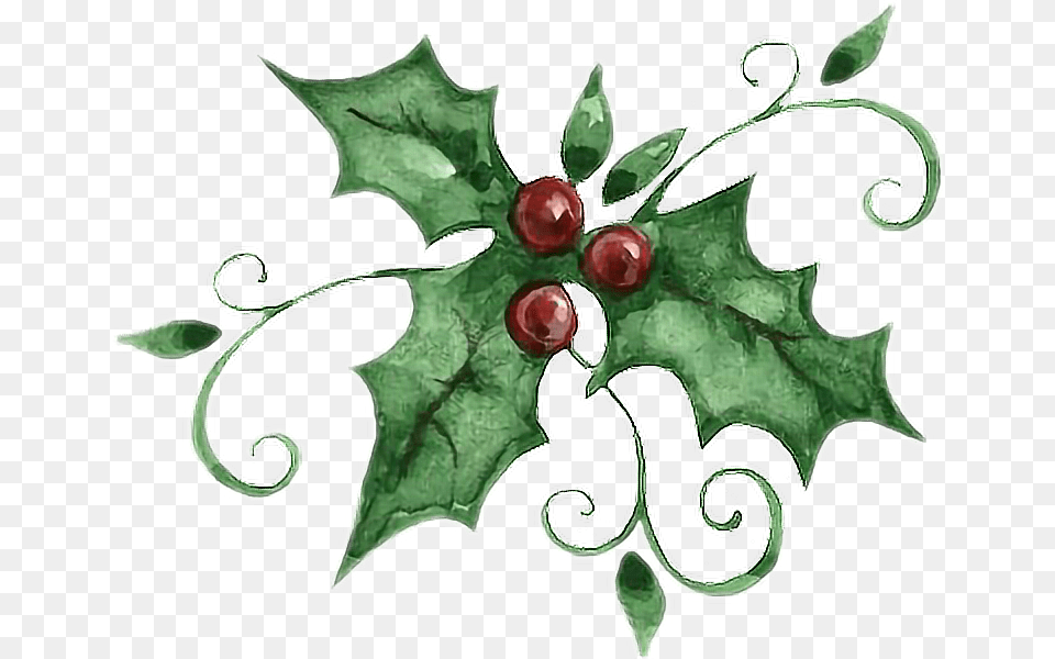 Holly Graphic, Accessories, Leaf, Plant, Brooch Png