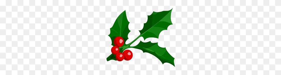 Holly Icon Merry Christmas Iconset Lovuhemant, Leaf, Plant, Food, Fruit Free Transparent Png