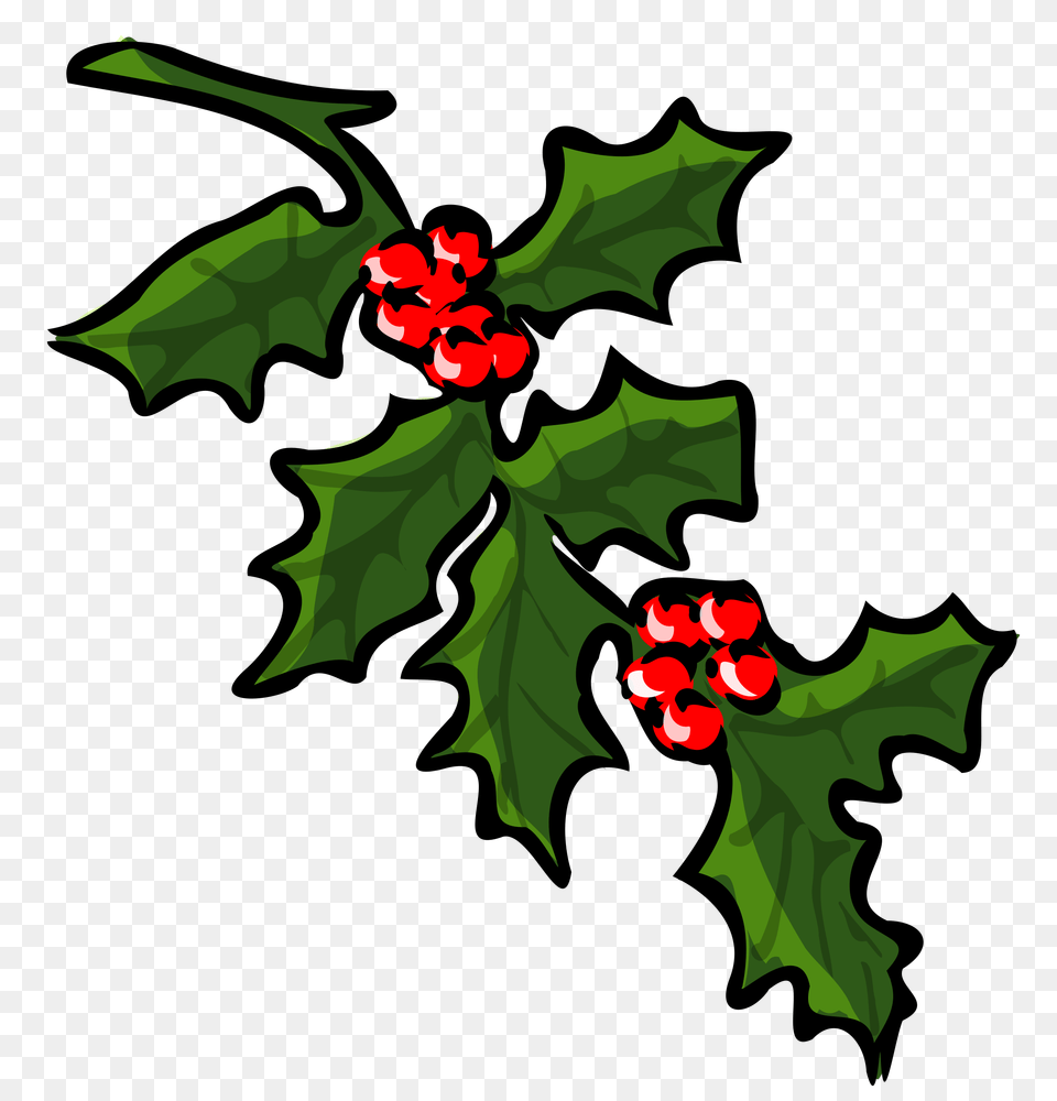 Holly Icons, Leaf, Plant, Flower, Person Png Image