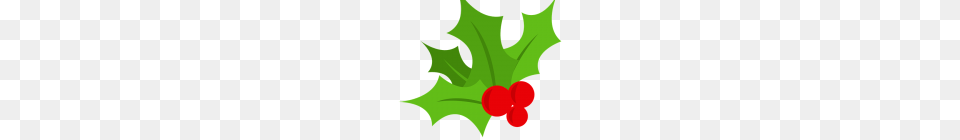 Holly Images Christmas Holly Vector Vector Download, Leaf, Plant, Food, Fruit Png