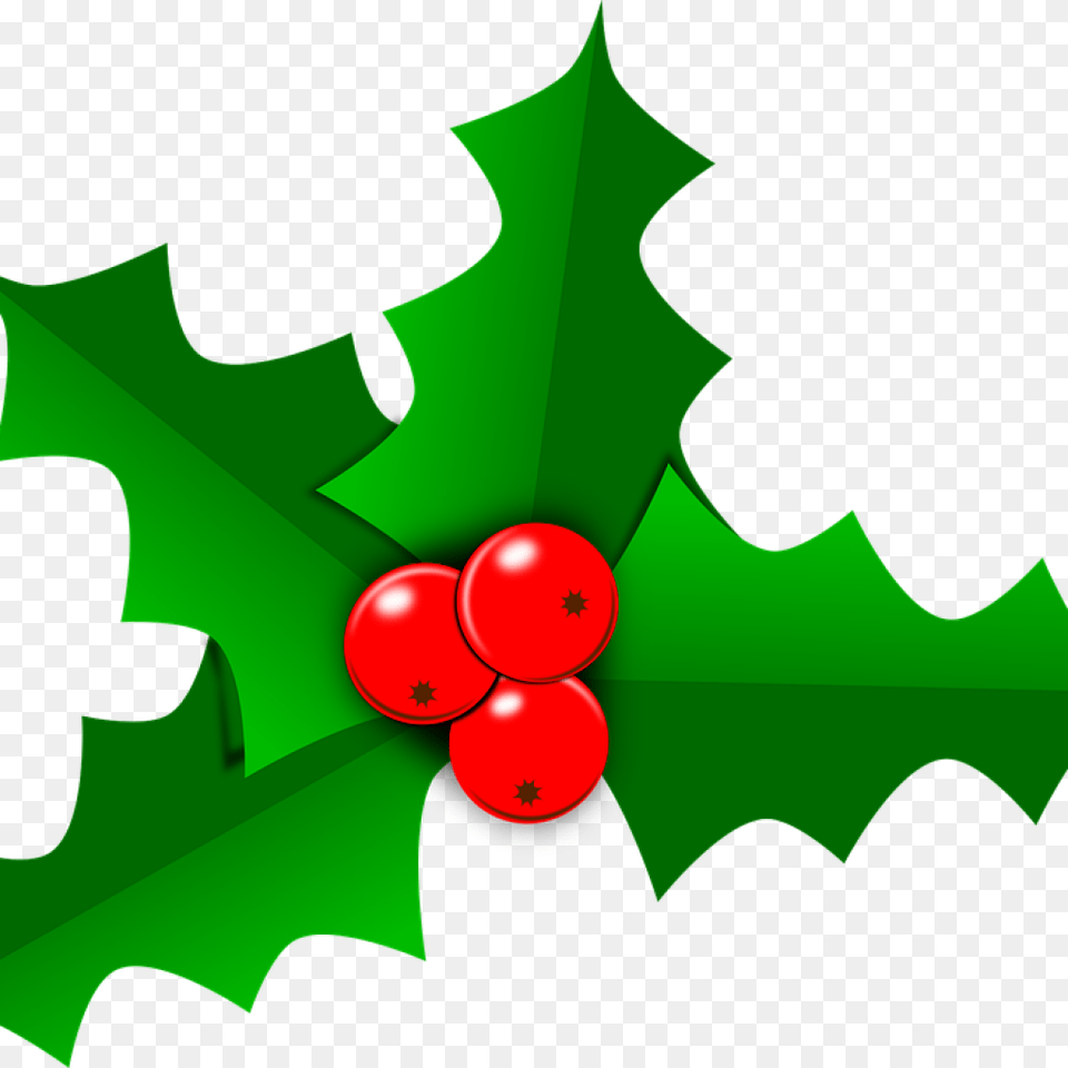 Holly Images Holly Christmas Leaf Vector Holly Leaf, Plant, Person, Food, Fruit Png